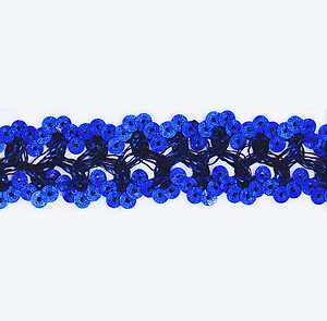 Sequin Trim Lace