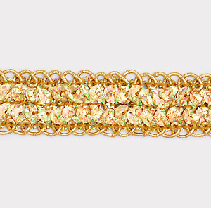 Sequin Trim Lace Tucson