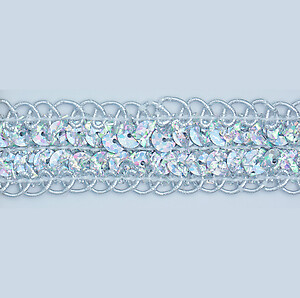 Sequin Trim Lace Tucson