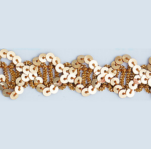 Sequin Trim Lace Chicago